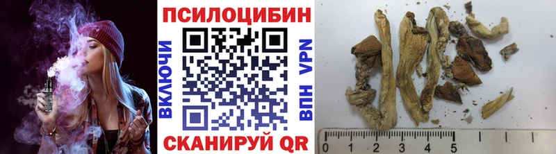 Псилоцибиновые грибы прущие грибы  Слюдянка 